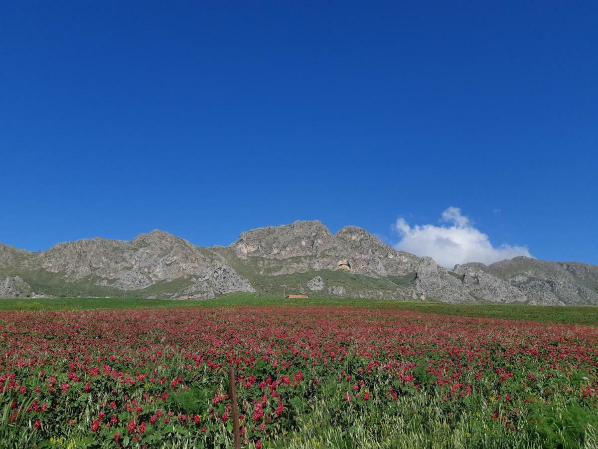 Crapa Licca Villa Ventimiglia di Sicilia Eksteriør bilde