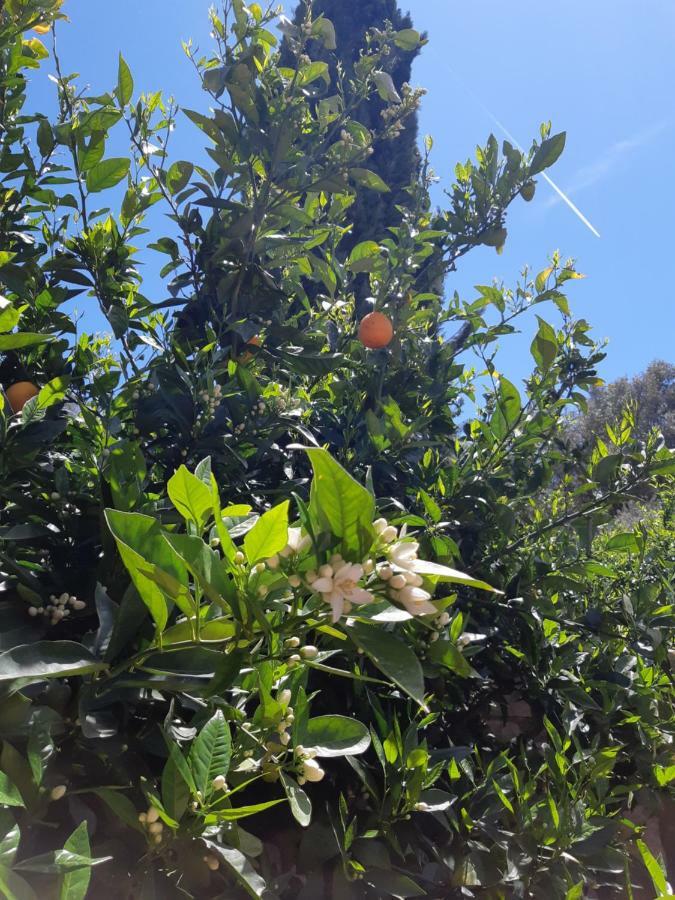 Crapa Licca Villa Ventimiglia di Sicilia Eksteriør bilde